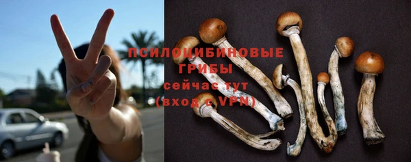 индика Заводоуковск