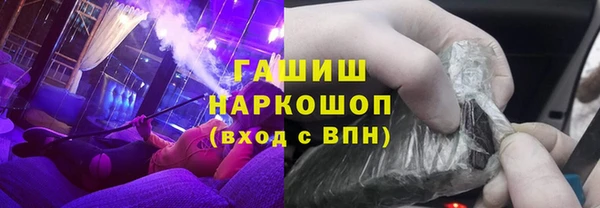 индика Заводоуковск