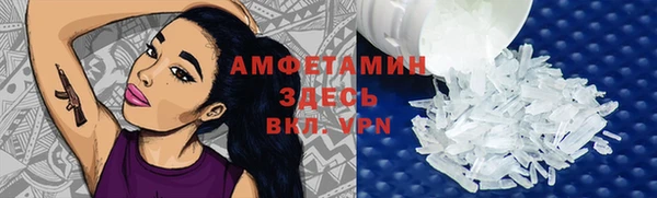 индика Заводоуковск