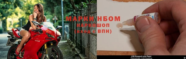 индика Заводоуковск