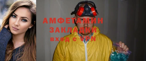 индика Заводоуковск