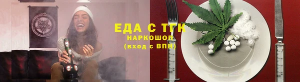 индика Заводоуковск
