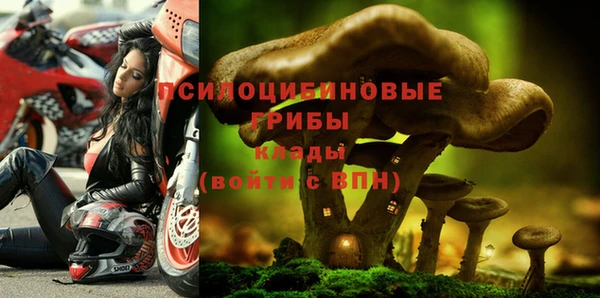 индика Заводоуковск
