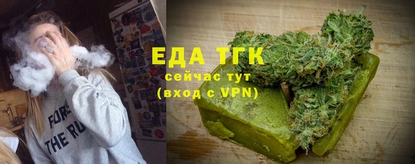индика Заводоуковск