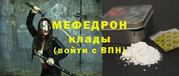 индика Заводоуковск
