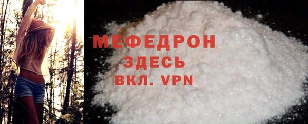 индика Заводоуковск