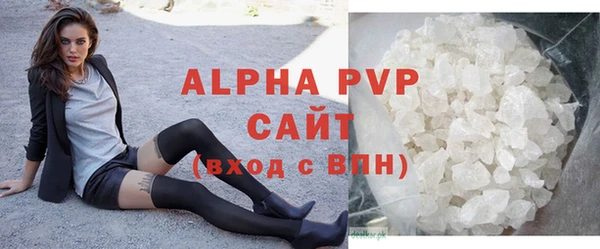 индика Заводоуковск