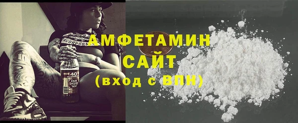 индика Заводоуковск