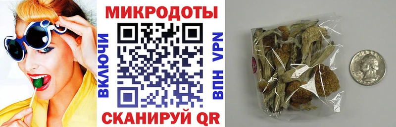 Псилоцибиновые грибы Cubensis  Купить где  Высоцк 